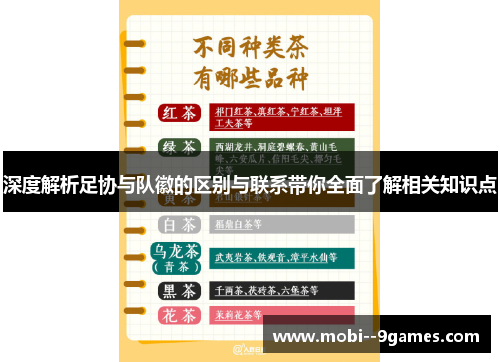 深度解析足协与队徽的区别与联系带你全面了解相关知识点