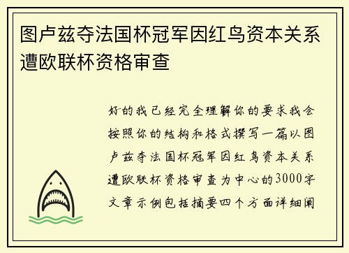 图卢兹夺法国杯冠军因红鸟资本关系遭欧联杯资格审查