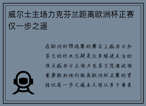 威尔士主场力克芬兰距离欧洲杯正赛仅一步之遥